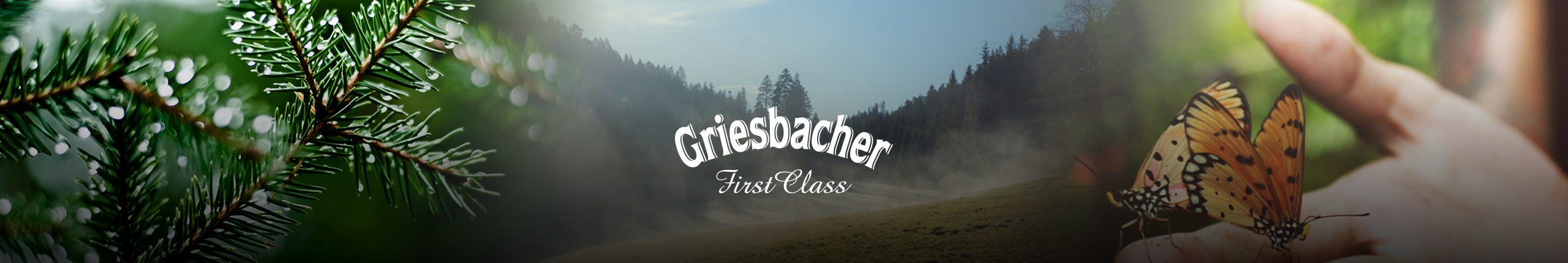 Griesbacher Wissen
