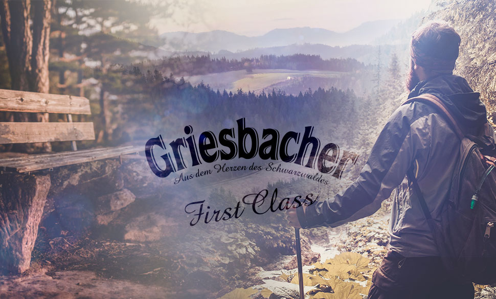 Griesbacher Karriere