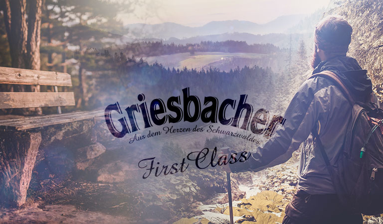 Griesbacher Karriere